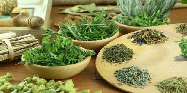 cravo contra parasitos no corpo