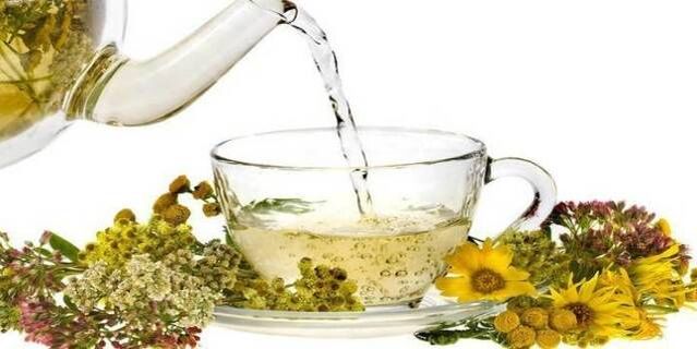 decocção para a limpeza de parasitos